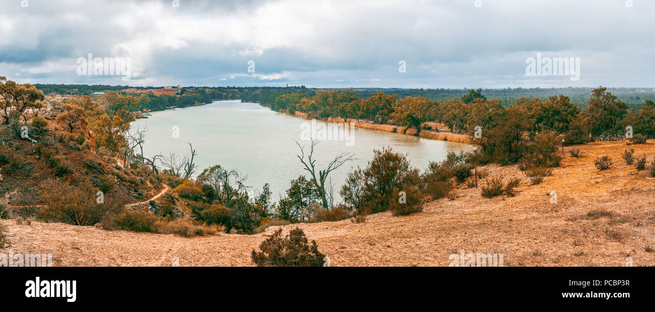 Large panorama de Murray River et eucalyptus. Berri, Australie du Sud Banque D'Images