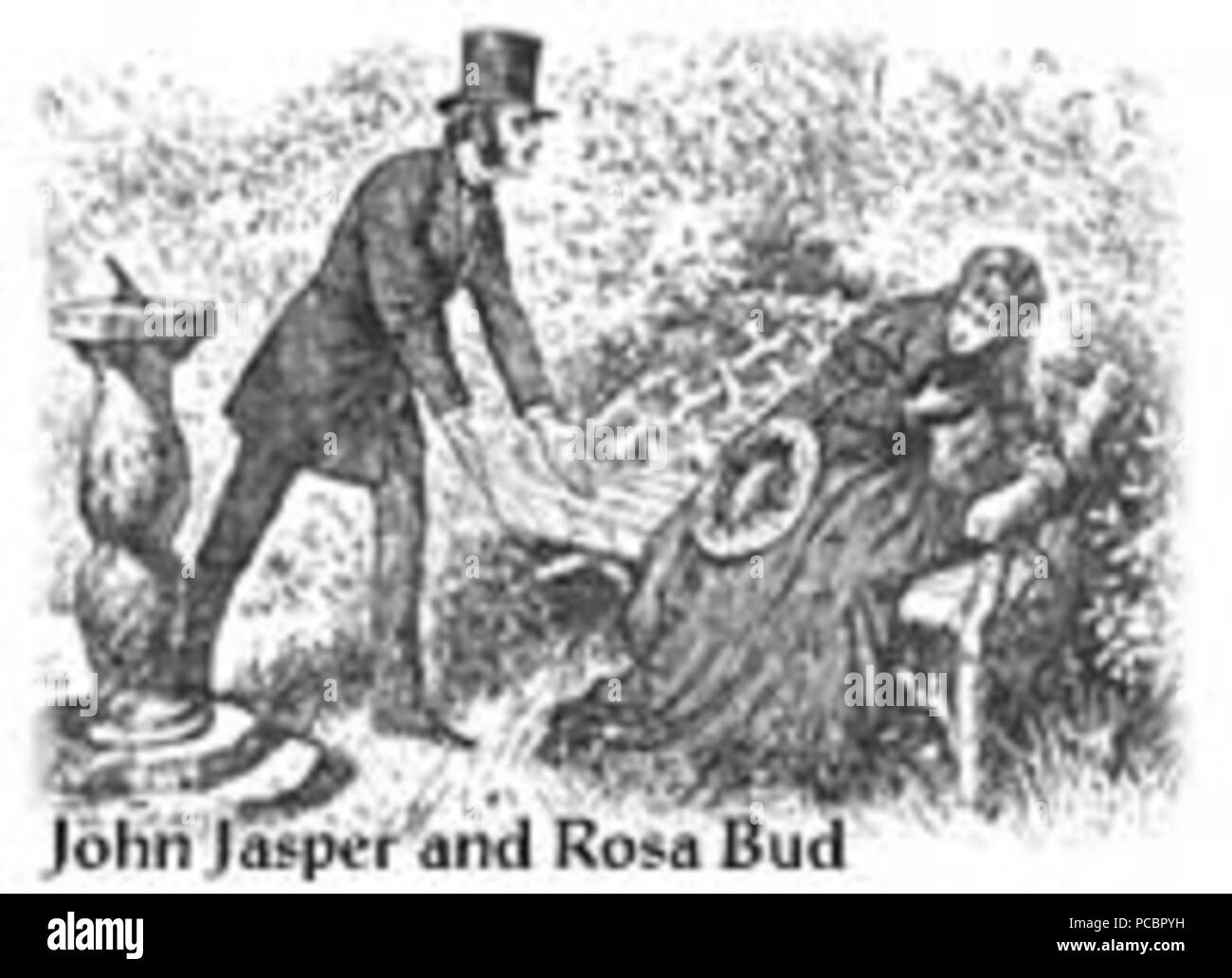 Jasper 27 rosa-fildes Banque D'Images