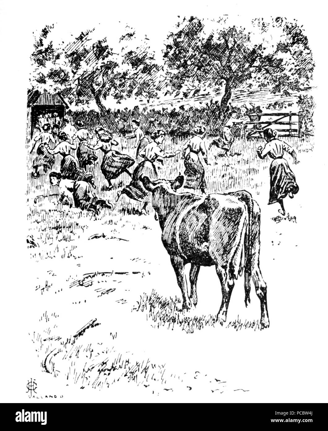 38 M. Punch's Book of Sports (Illustration Page 125) Banque D'Images