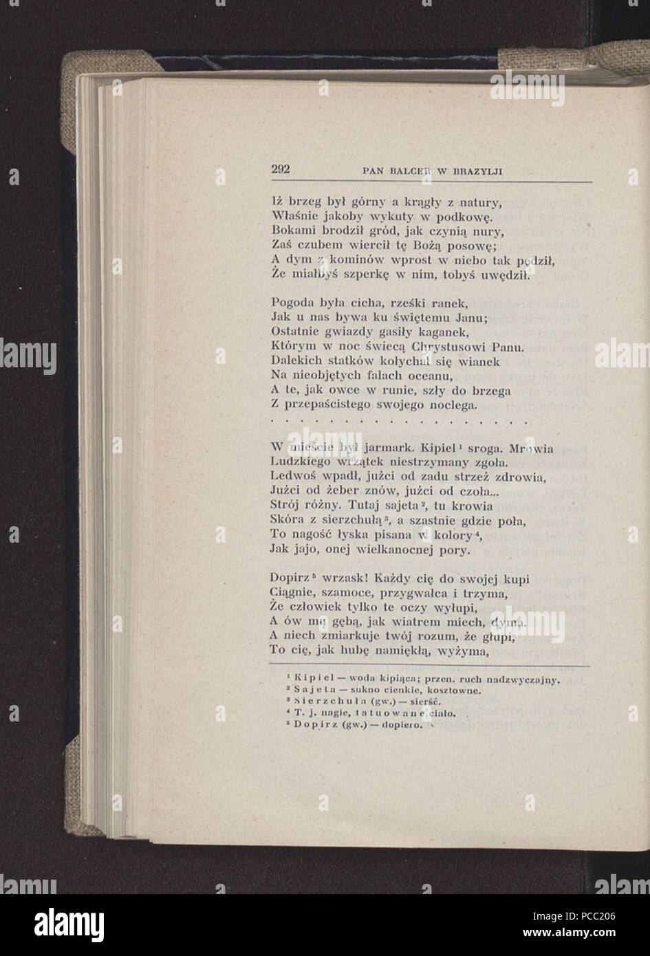 5 PL 10300 Konopnicka-Poezye Maria T. Banque D'Images