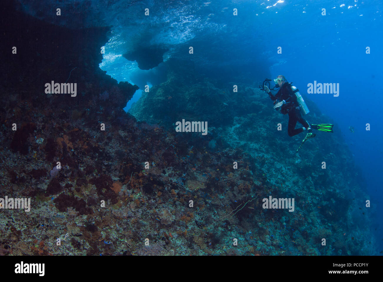 Plongeur femelle avec caméra vidéo photographies l'arrière de Boo Windows. Raja Ampat, en Indonésie. Banque D'Images