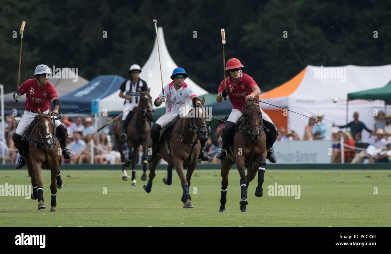 Action de la King Power Gold Cup, finale Cowdray, West Sussex, UK Banque D'Images