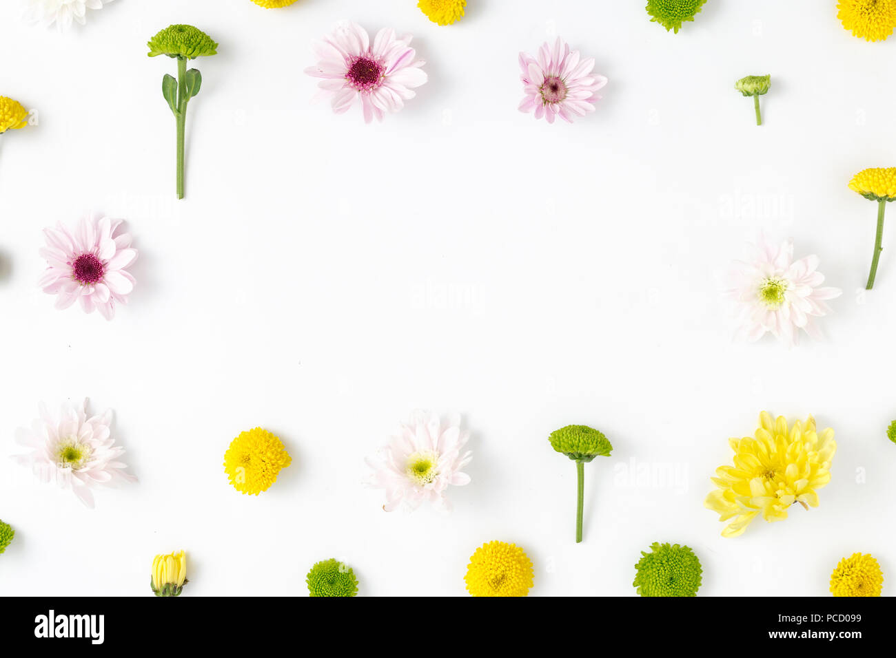 Cadre fait de différents chrysanthèmes. Motif floral sur fond blanc. Mise à plat, vue du dessus Banque D'Images