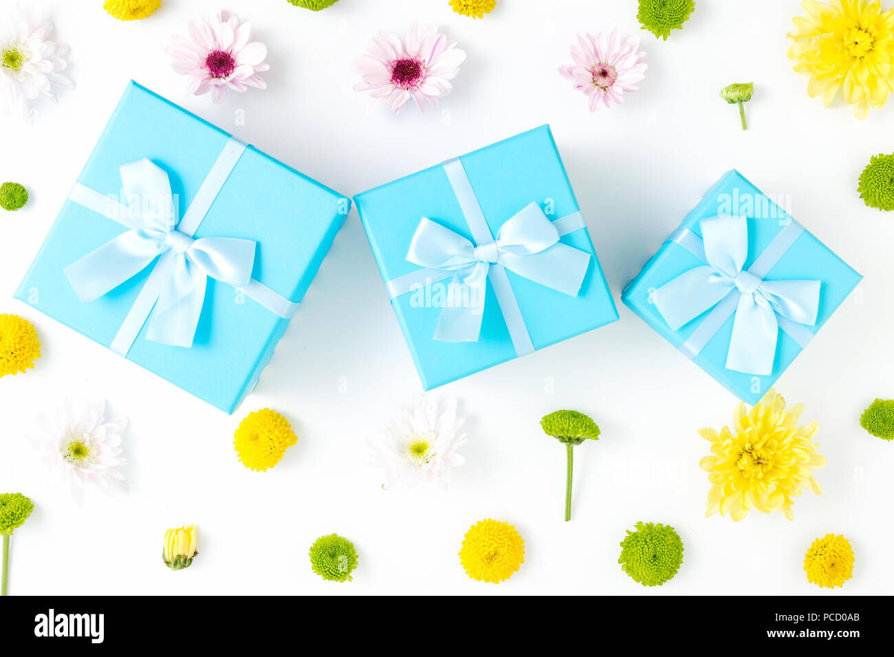 Cadeaux bleu avec différents chrysanthèmes sur un fond blanc. Mise à plat. Fond d'anniversaire Banque D'Images