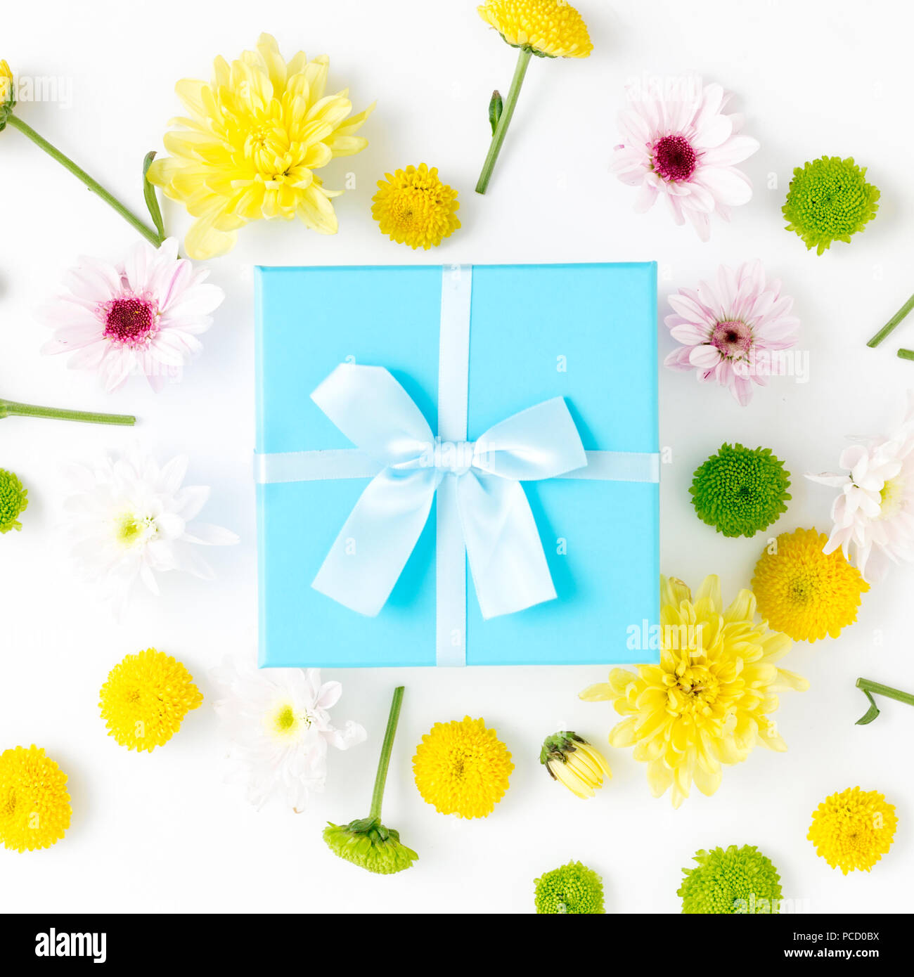 Anniversaire de l'arrière-plan. Cadeaux bleu avec différents chrysanthèmes sur un fond blanc. Mise à plat Banque D'Images