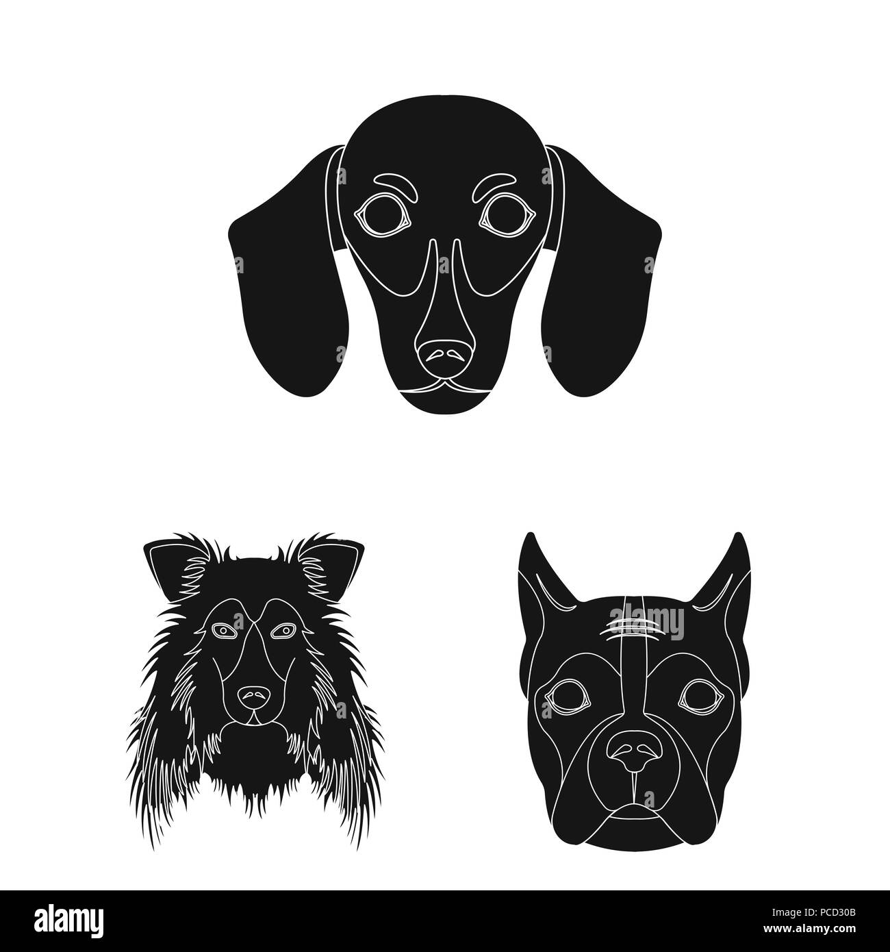 Chiens De Races Icônes Noires Dans Set Collection Pour