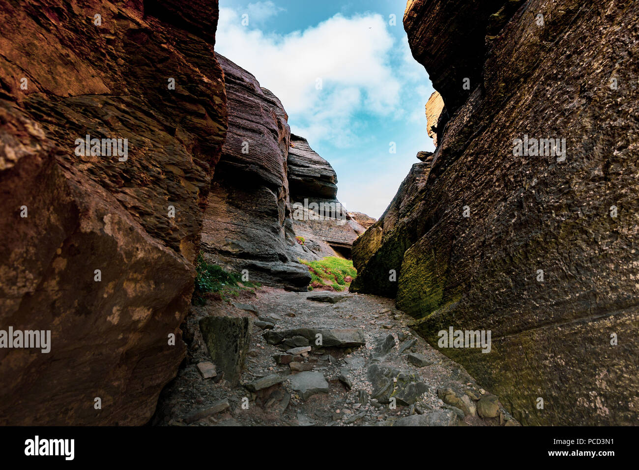 Les falaises de Moher, Irlande Banque D'Images
