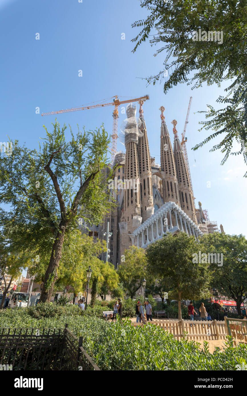 Sagrada Familia, UNESCO World Heritage Site, Barcelone, Catalogne, Espagne, Europe Banque D'Images