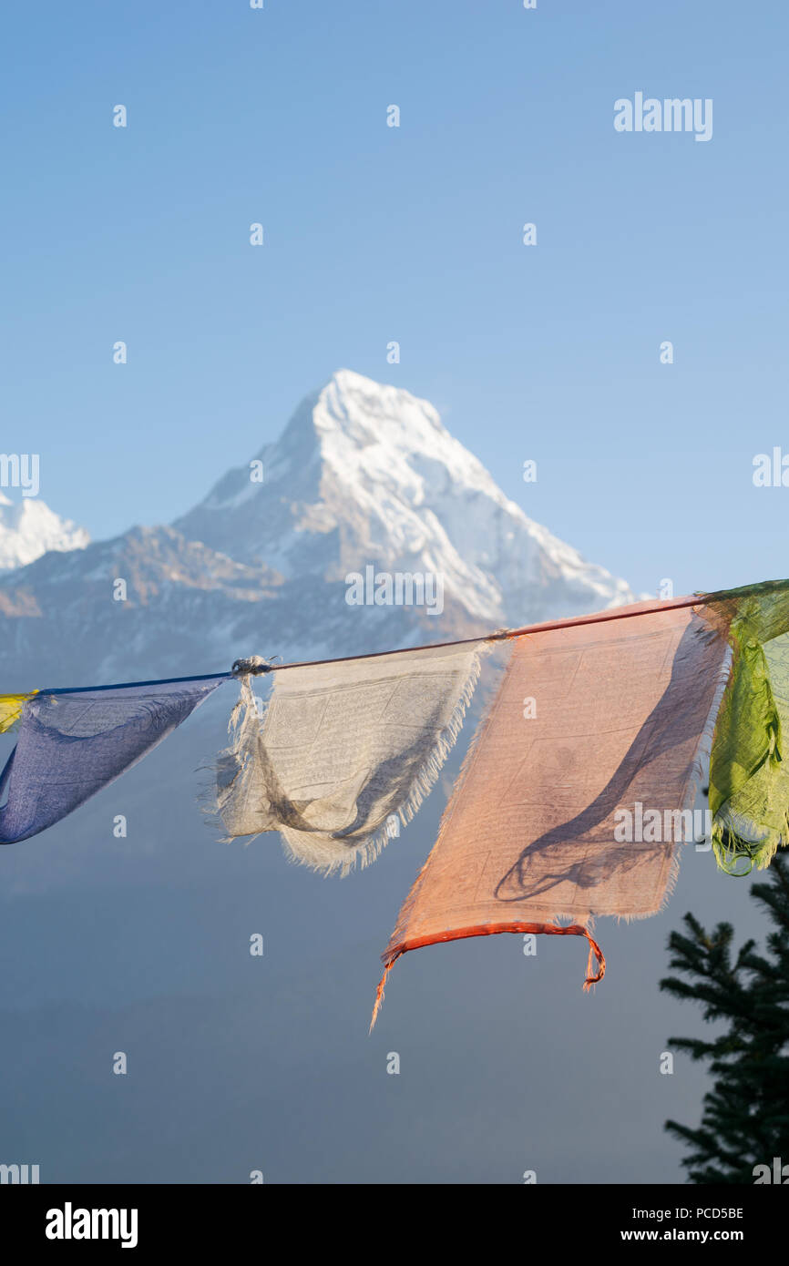 Les drapeaux de prières bouddhistes népalais qui a eu lieu en face de pointe l'Annapurna dans l'Himalaya, au Népal. Banque D'Images