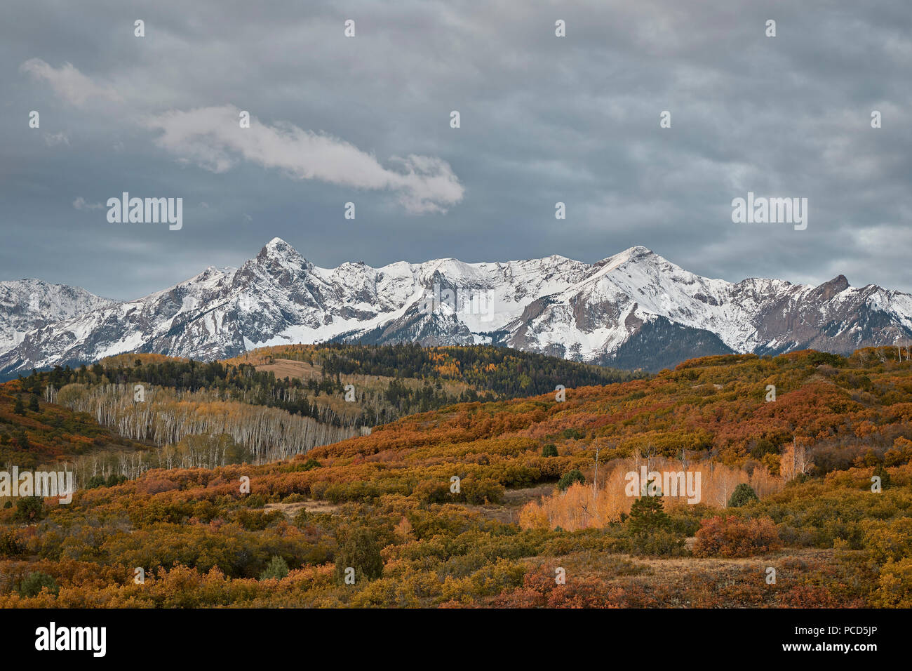 Sneffels range à l'automne, l'Uncompahgre National Forest, Colorado, États-Unis d'Amérique, Amérique du Nord Banque D'Images