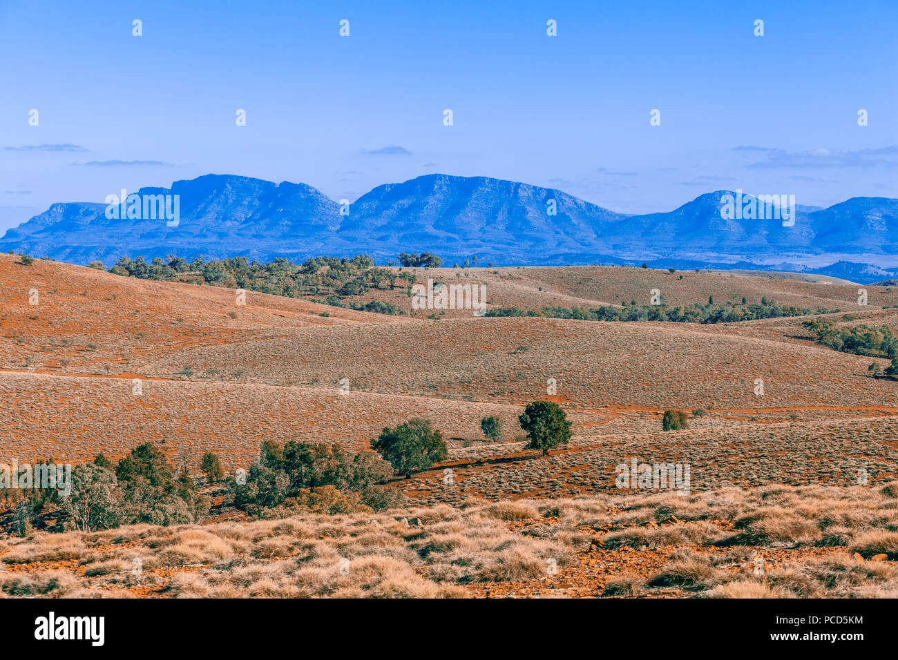 Magnifique paysage de montagnes des Flinders et collines dans le sud de l'Australie Banque D'Images