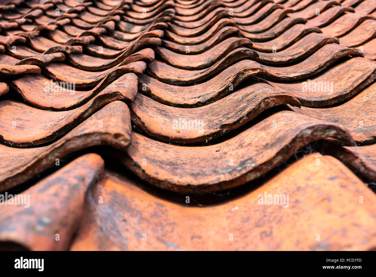 15-05-2018 East Linton, Ecosse, Royaume-Uni. Détails toit trouvés dans East Linton. Photo : © Simon Grosset Banque D'Images