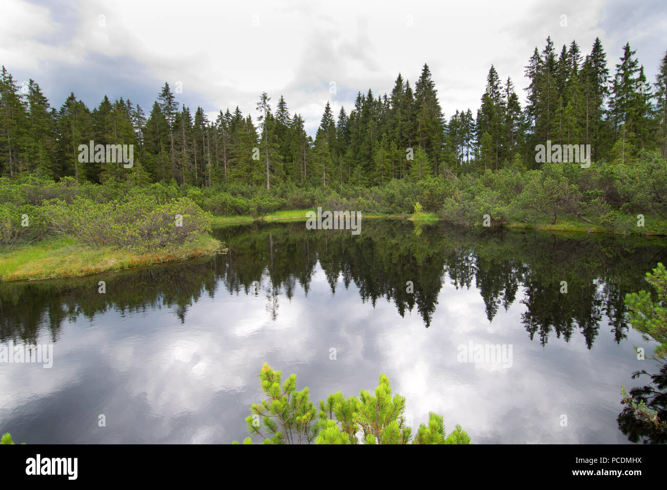 Un lac dans la forêt de Bohême. République tchèque. Banque D'Images