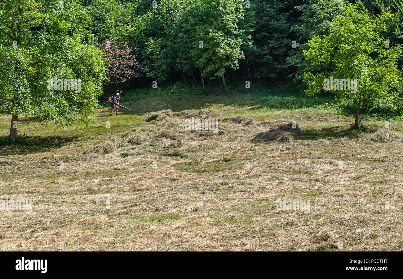 À l'aide d'un agriculteur de la soufflante pour recueillir de l'essence couper le verre dans un champ. Banque D'Images