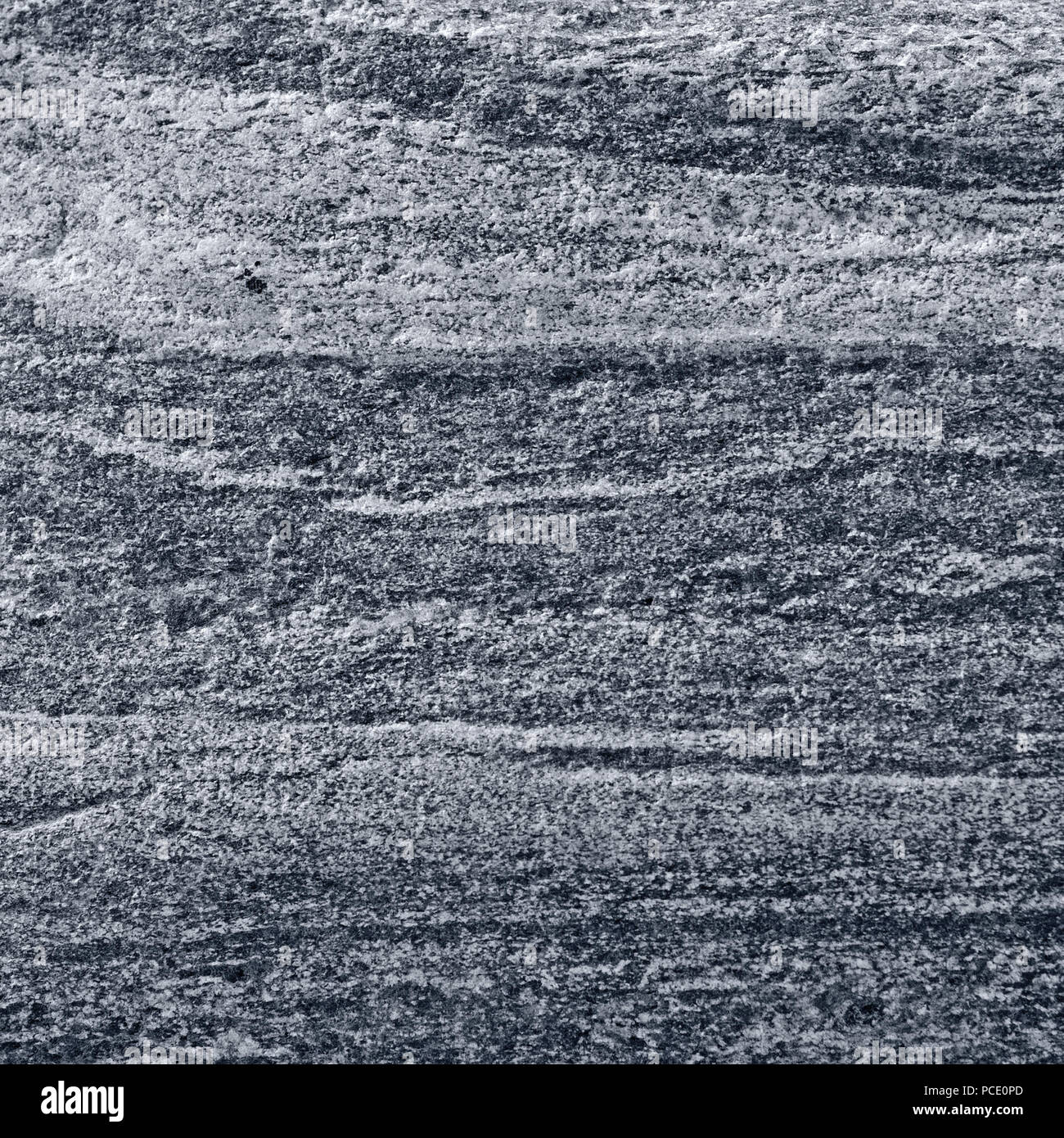 Gneiss migmatitiques de rock de migmatite, pattern light dark gris granit bagués macro closeup texture texture détaillée, grande horizontale gris argent Banque D'Images