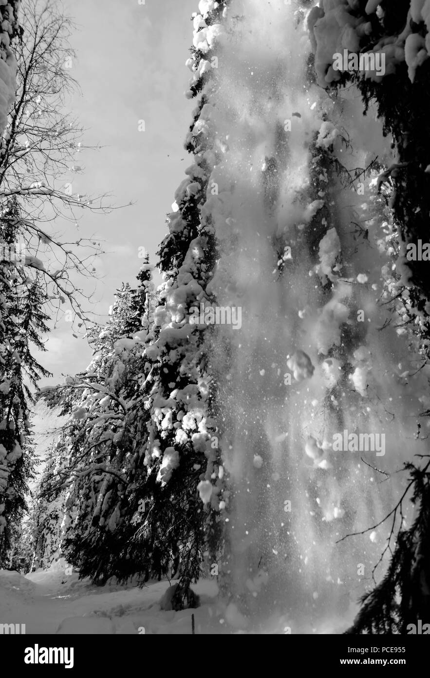 Paysages d'hiver dans la forêt sur une montagne Banque D'Images