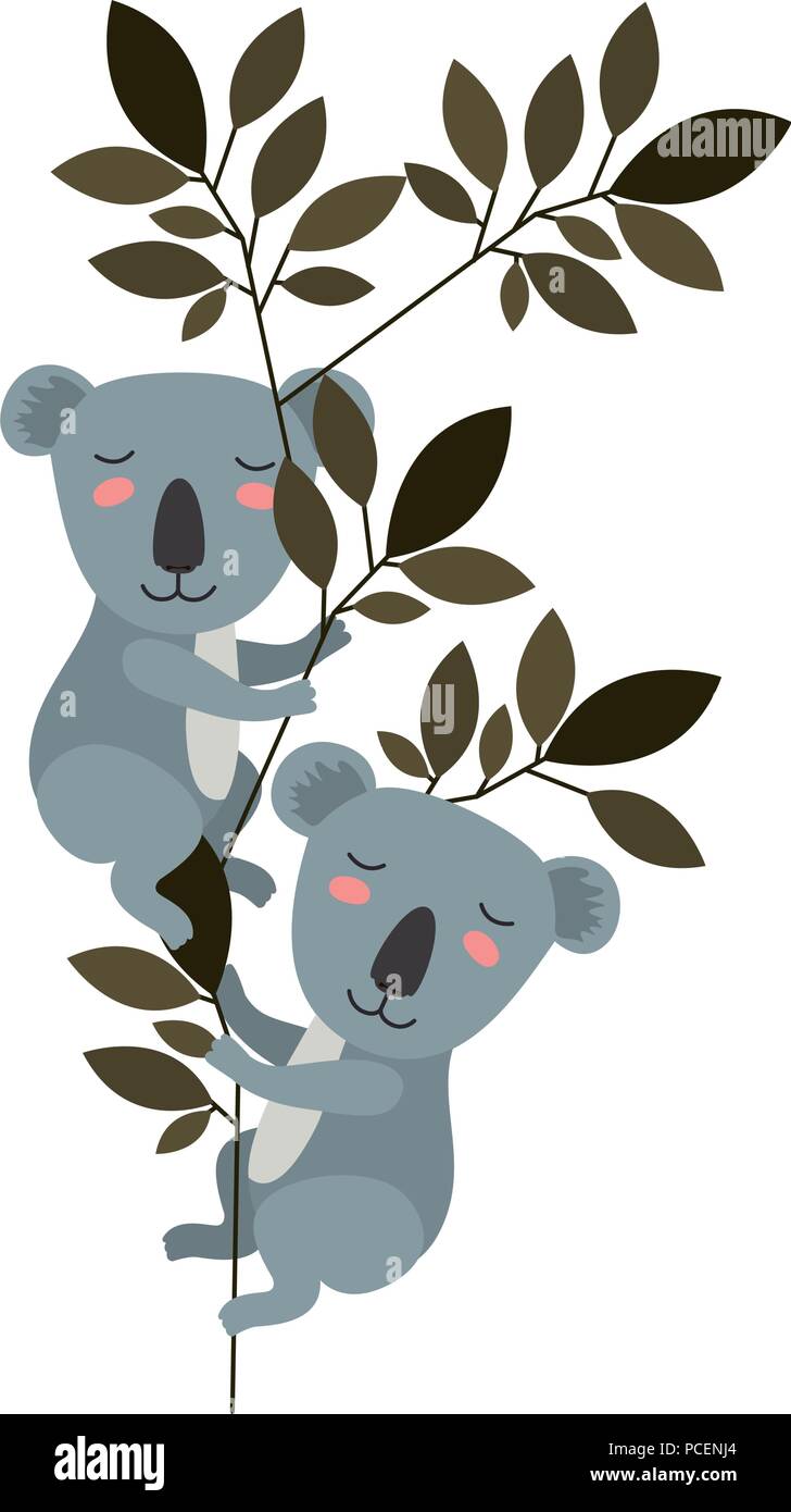 Deux koalas sauvages dans la jungle Illustration de Vecteur