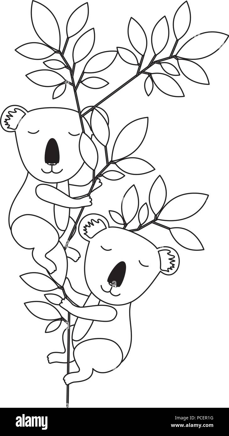 Deux koalas sauvages dans la jungle Illustration de Vecteur