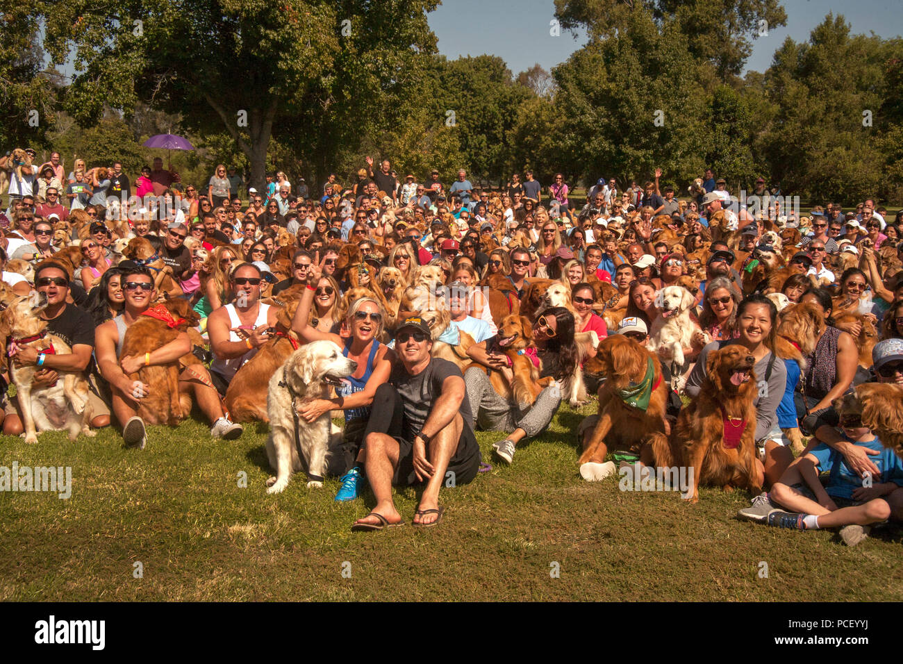 Les propriétaires de chiens Golden Retriever multiraciales posent avec leurs animaux pour une photo de groupe dans un Huntington Beach, CA, parc lors d'un festival de chien. (Photo par Spencer Grant) Banque D'Images