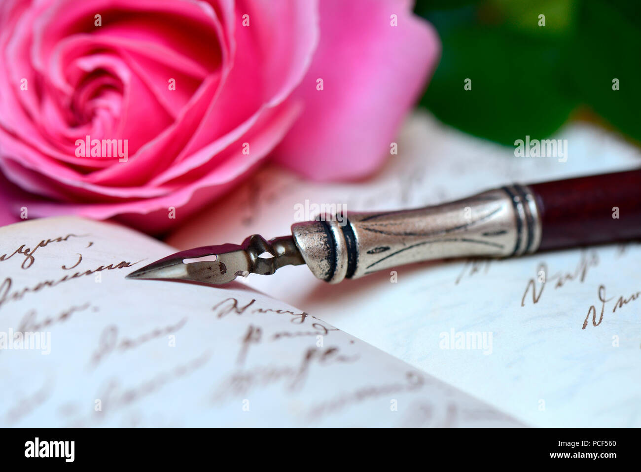 Schreibfeder Federhalter mit auf Buch mit alter Handschrift Banque D'Images