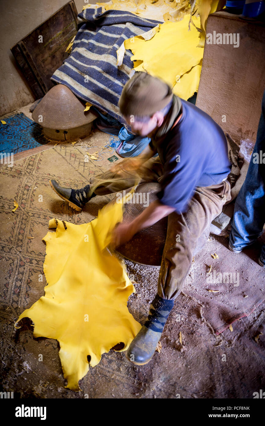 Travail travailleur sur le cuir, de mourir, tannerie, tannerie Chouara, tanner et dyer trimestre, Fes el Bali, Fes, Maroc Banque D'Images