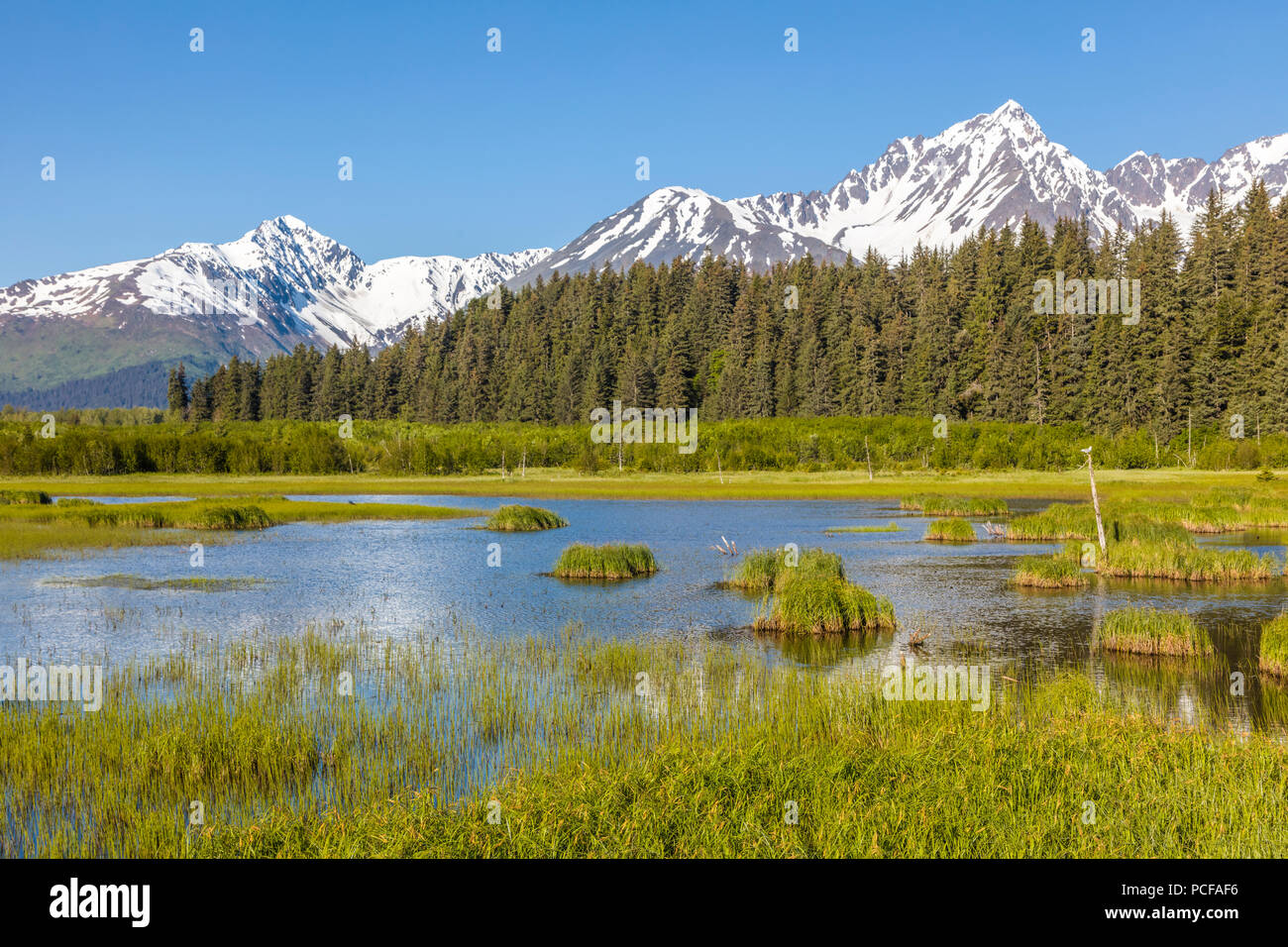 Montagnes enneigées reflétant dans les étangs de la ville de Seward sur la péninsule de Kenai en Alaska Banque D'Images