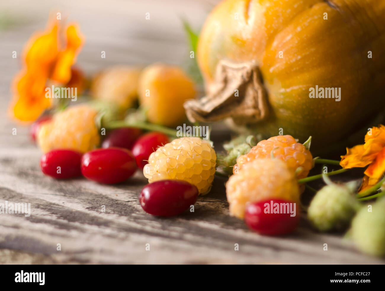 Décoration de citrouilles coloré d'automne jaune, framboises, du cornouiller et de souci. Fête de la vie encore d'automne. Automne nature harvest decorati Banque D'Images