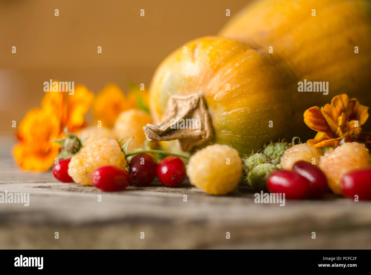 Décoration de citrouilles coloré d'automne jaune, framboises, du cornouiller et de souci. Fête de la vie encore d'automne. Automne nature harvest decorati Banque D'Images