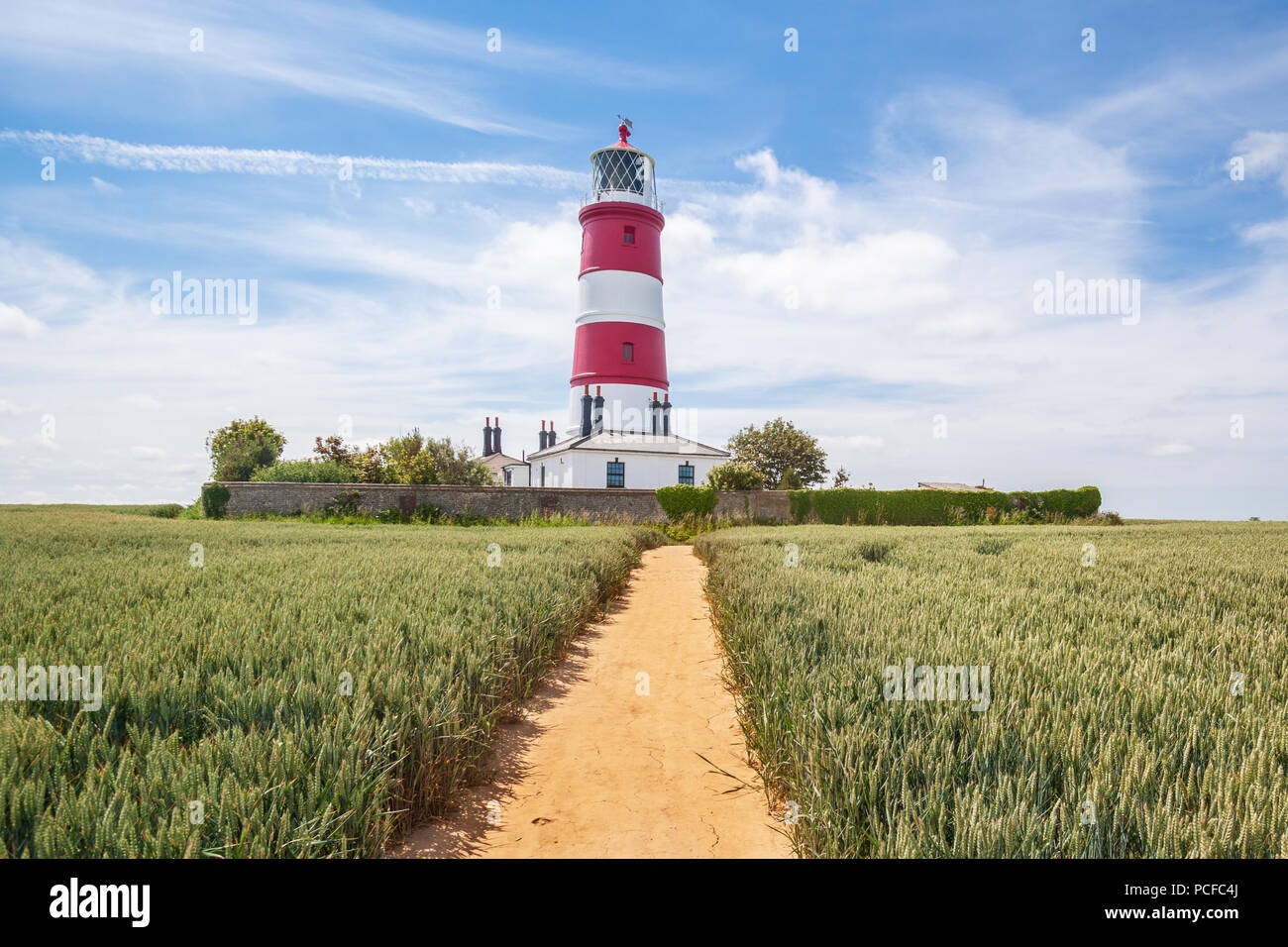Voir d'happisburgh phare à travers un champ d'orge au début de l'été sur la côte nord du comté de Norfolk uk Banque D'Images