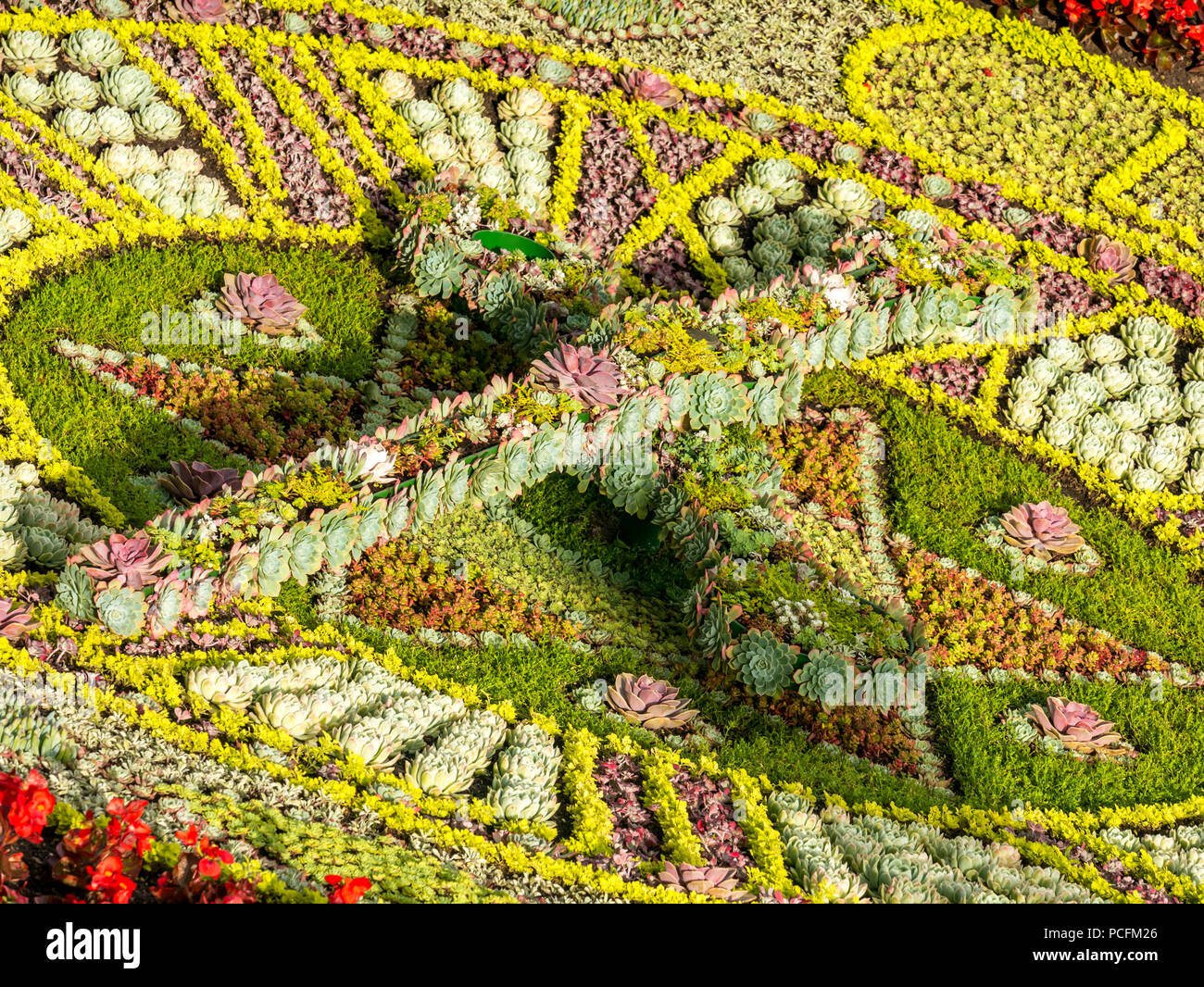 Princes Street Gardens, Édimbourg, Écosse, Royaume-Uni, 01 août 2018. Horloge florale d'Édimbourg au début du matin. Il y a un thème différent pour l'horloge historique chaque année. Il a été créé pour la première fois en 1903 par le surintendant des parcs d''Édimbourg, John McHattie, et est la plus ancienne horloge florale dans le monde entier. Cette année, il a été conçu avec des coquelicots à 100 ans depuis la signature de l'Armistice, menant à la fin de la Première Guerre mondiale Banque D'Images