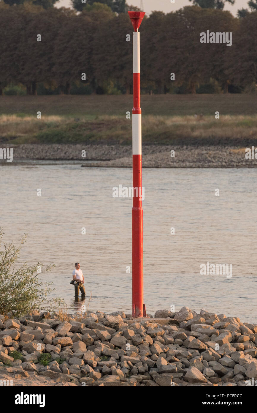 01 août 2018, l'Allemagne, Düsseldorf : Un pêcheur debout près du rhin ...
