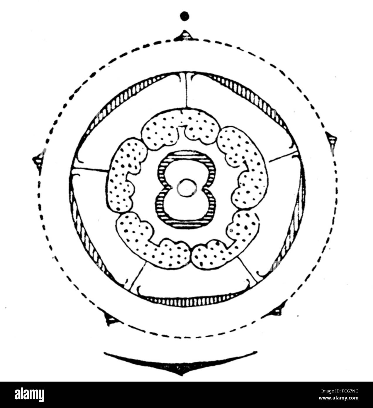 Carduus 112 flowerdiagram Banque D'Images