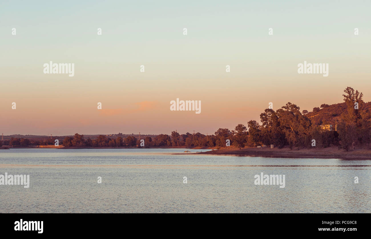 Avec le lac de la forêt d'eucalyptus dans l'arrière-plan au coucher du soleil, avec un ciel clair et orange à l'horizon, Espagne Banque D'Images