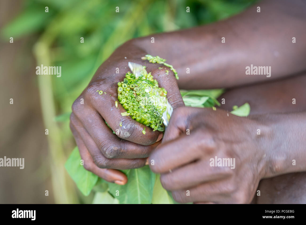 Close up of verts étant haché dans un bol en préparation pour un repas en LiberiaGanta Ganta, Libéria, Banque D'Images