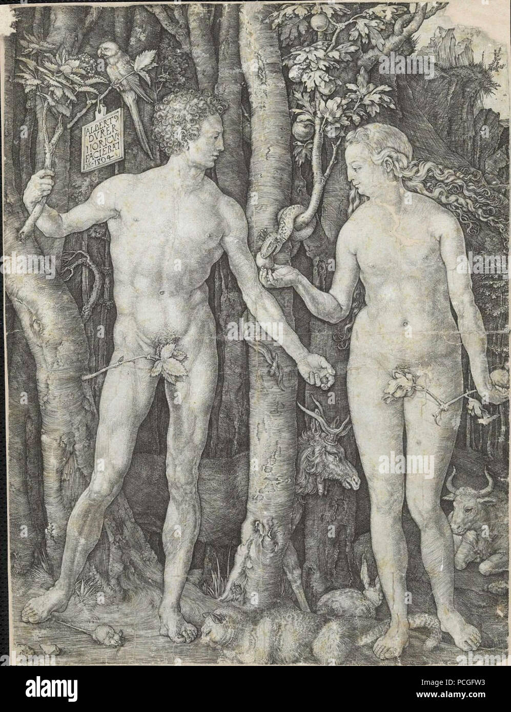 Albrecht Dürer - Adão e Eva. Banque D'Images