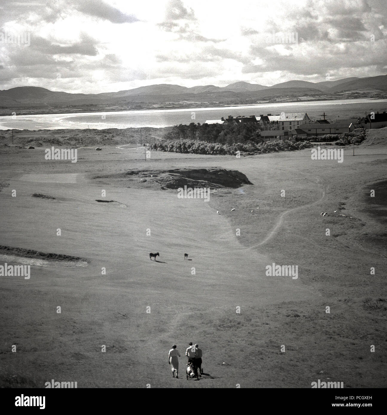 Années 1950, historique, du golf sur un parcours en liens Co. d'Antrim, en Irlande du Nord. Les golfeurs d'Amateur sur un grand putting green par sur la côte de Causeway sur l'océan Atlantique. Banque D'Images
