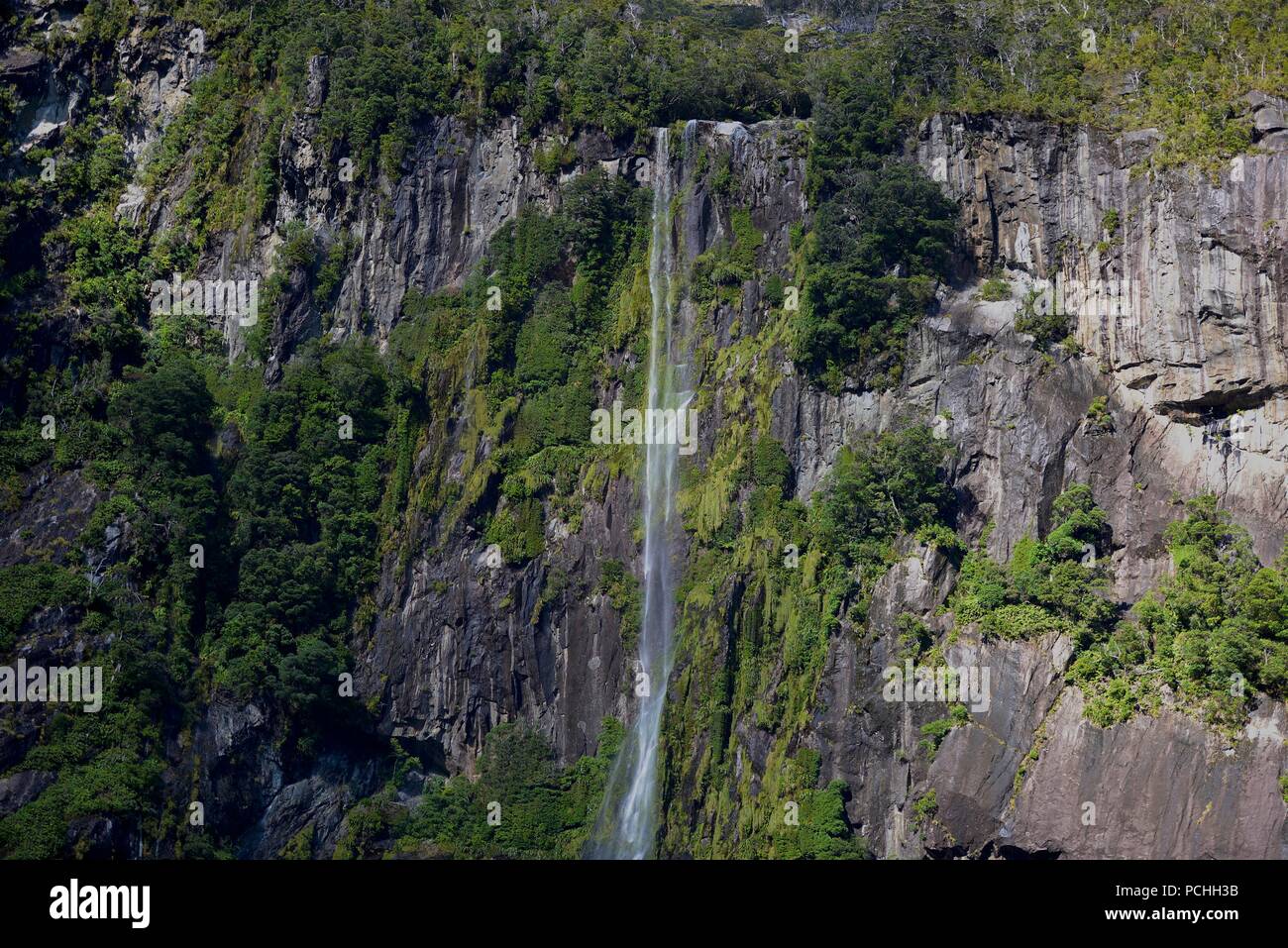 Milford Sound, île du Sud, Nouvelle-Zélande Banque D'Images