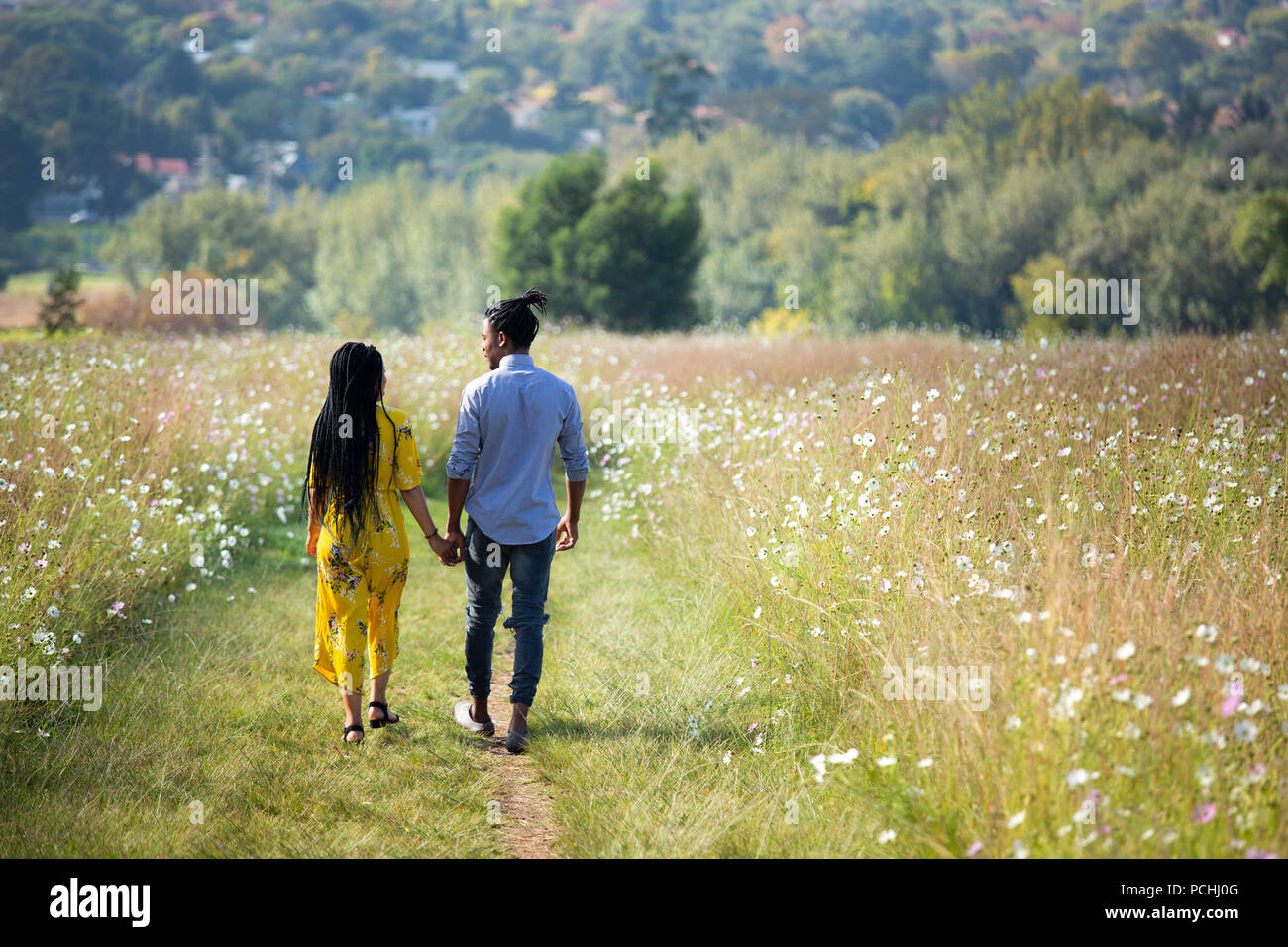 Couple holding hands walking in field, dos à l'appareil photo Banque D'Images