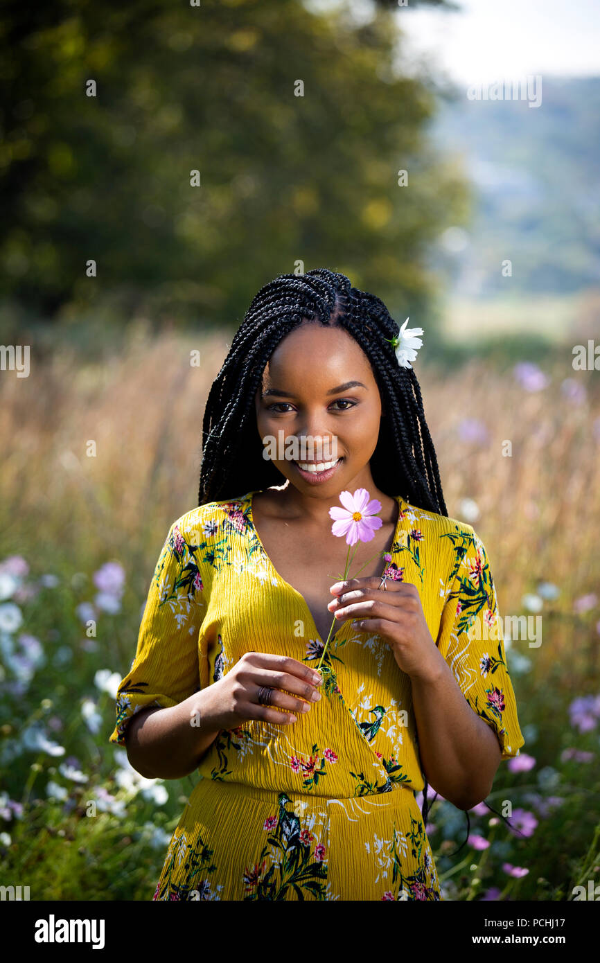 Jeune femme africaine tenant une fleur dans un champ Banque D'Images