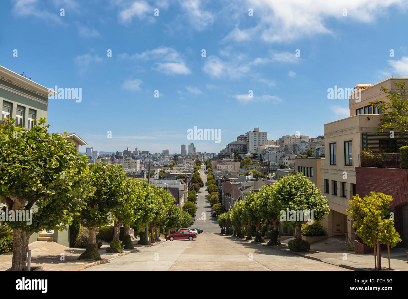 Vue sur la rue du centre-ville de San Francisco à partir de Pacific Heights, avec l'avion à destination de Londres des arbres plantés le long de la rue, en Californie, aux États-Unis. Banque D'Images