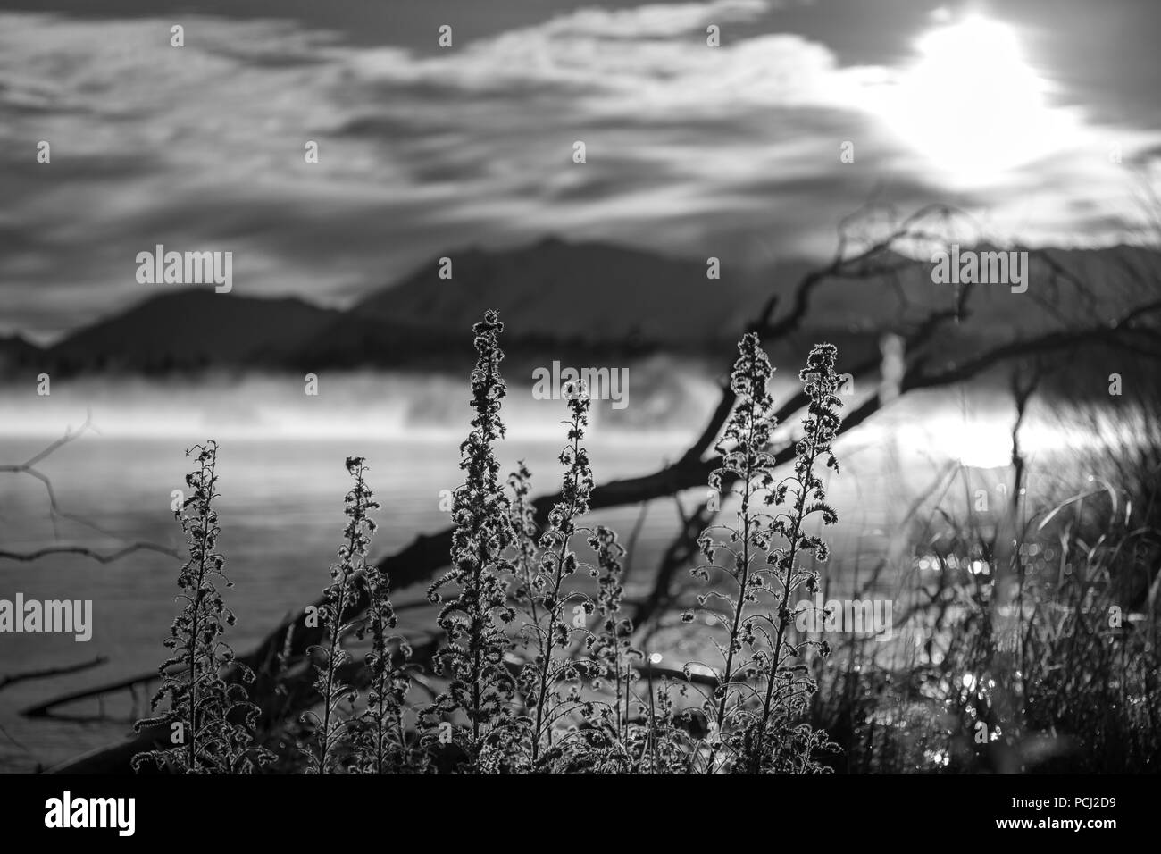 L'automne dans le Lac Pukaki , île du Sud, Nouvelle-Zélande, paysage avec B&W couleur Banque D'Images