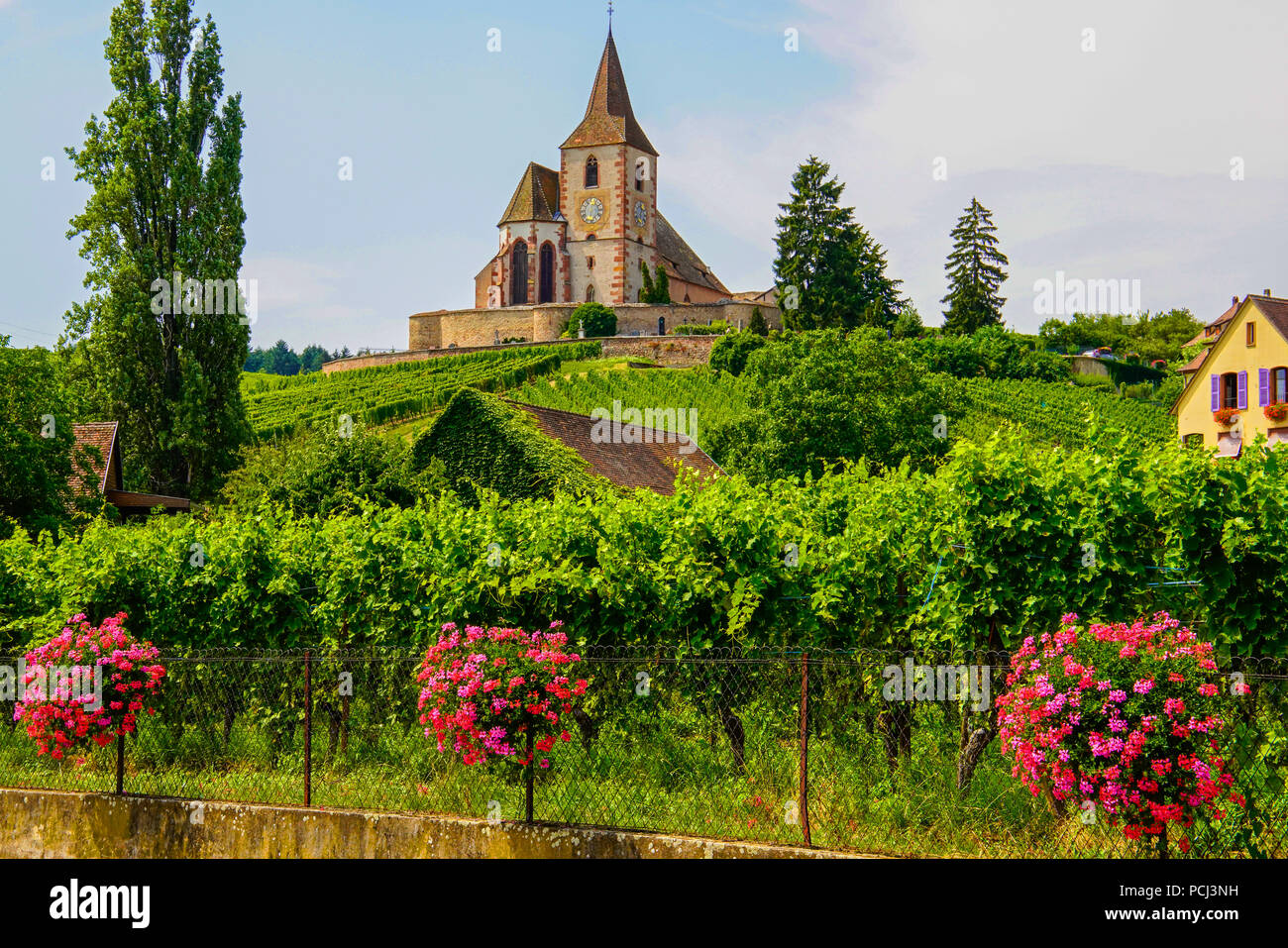 Dans l'église Hunawihr entouré par un mur de défense et de vignobles, l'Alsace, France. Banque D'Images