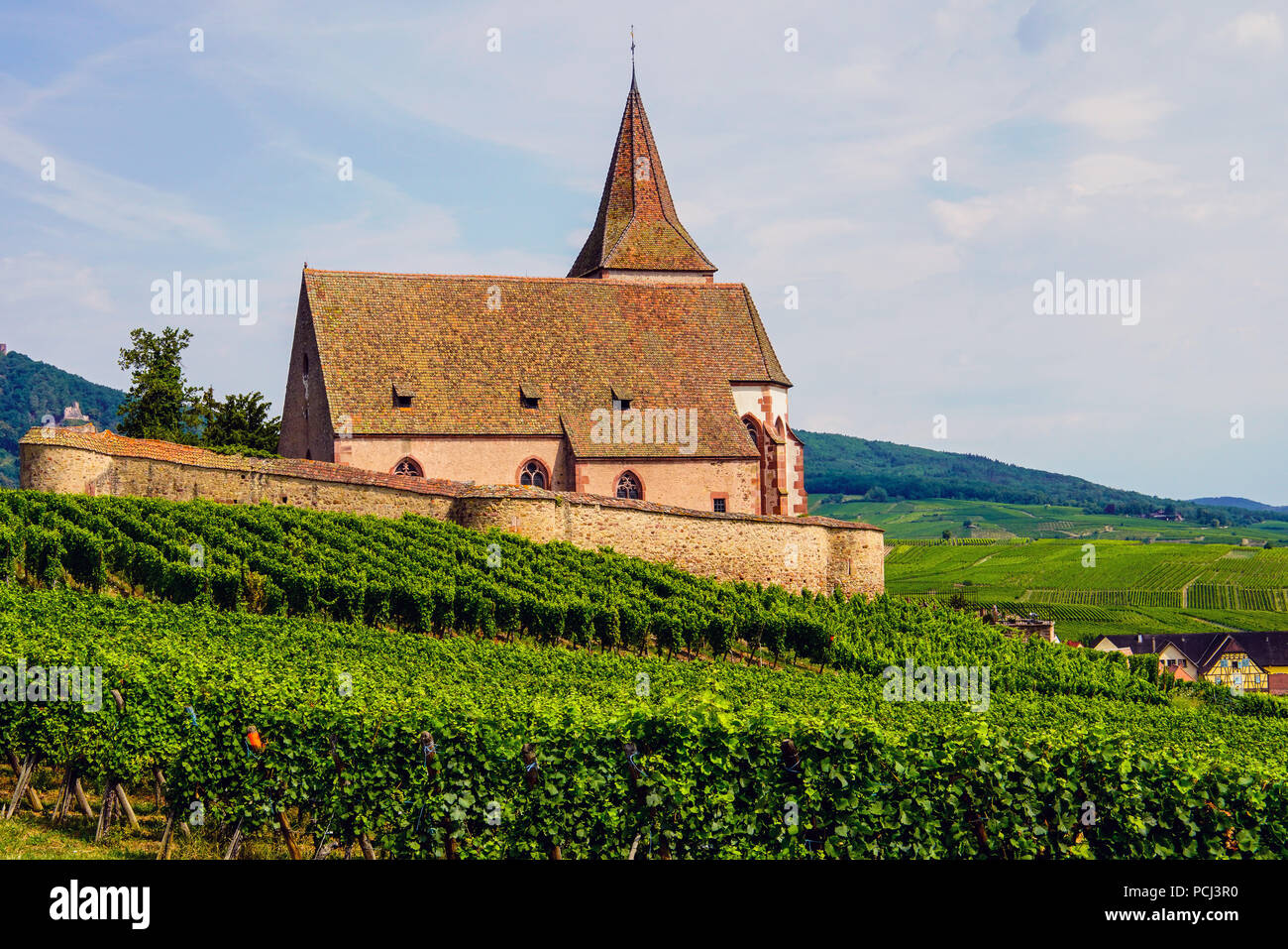 Dans l'église Hunawihr entouré par un mur de défense et de vignobles, l'Alsace, France. Banque D'Images