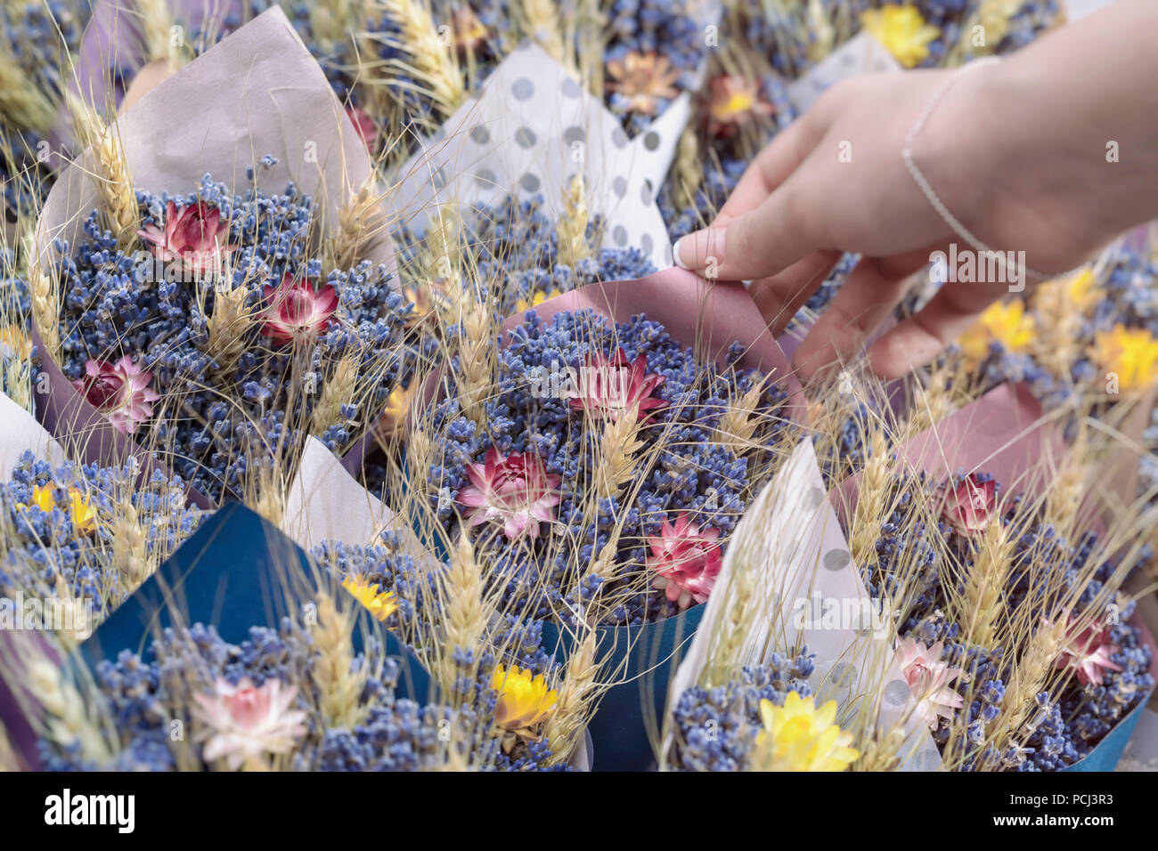 Des bouquets de fleurs sauvages, prairie, fleurs séchées, fleurs à la main main de femme juste et d'un fleuriste. Banque D'Images