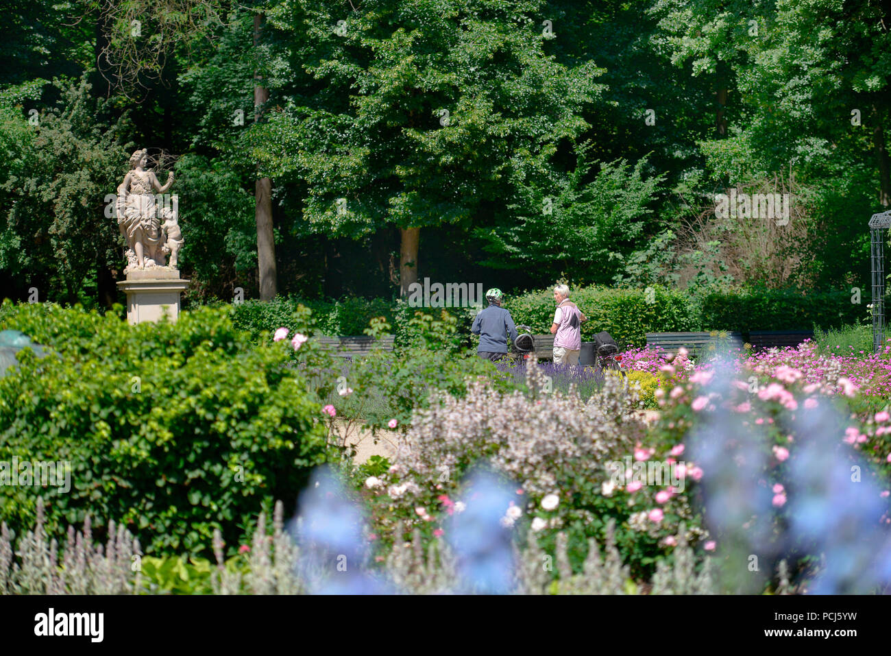 Rosengarten, Grosser, Tiergarten Tiergarten, Mitte, Berlin, Deutschland Banque D'Images
