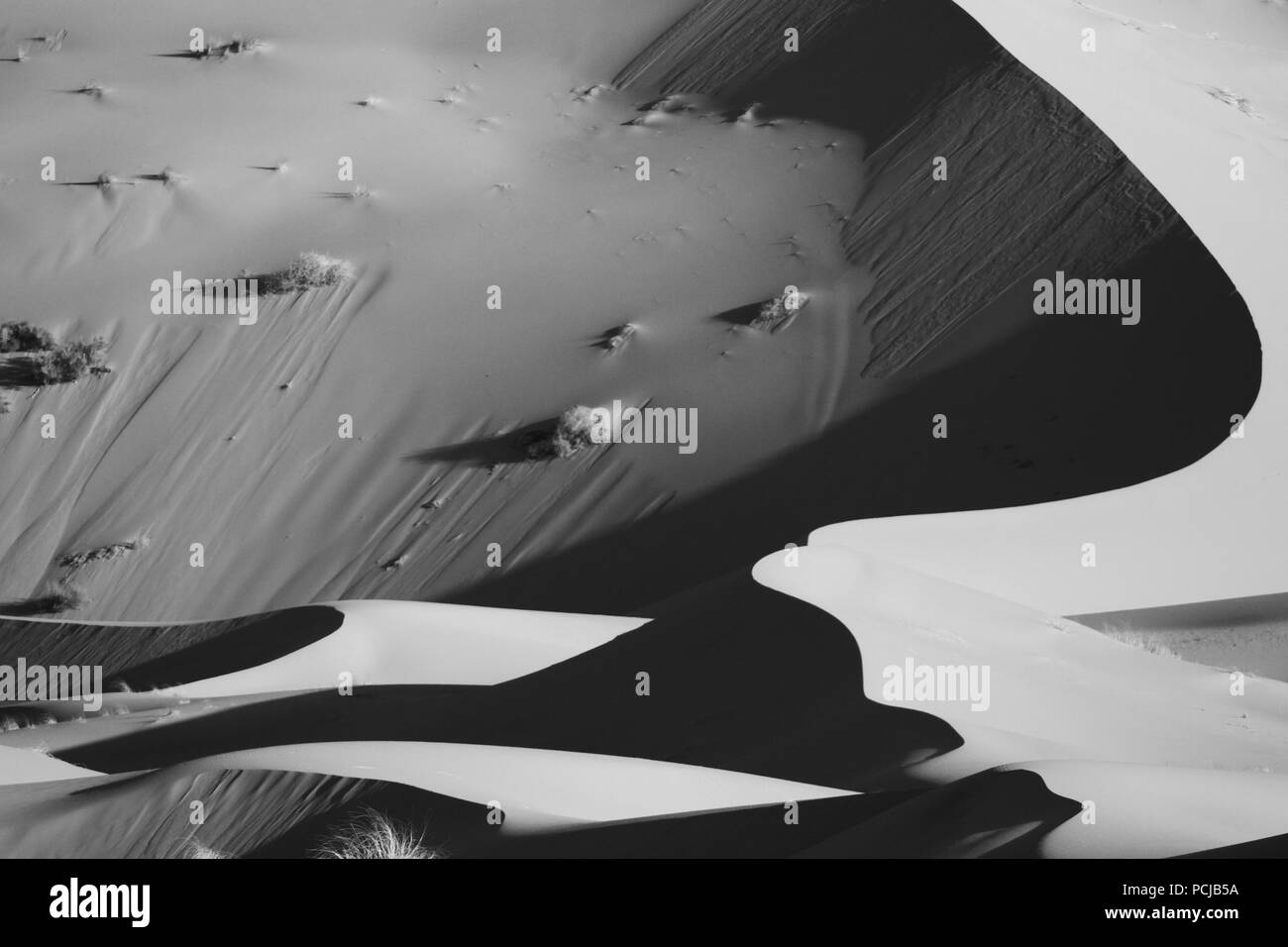 Sur les dunes du désert du Sahara avec l'ombre, le Maroc, l'Afrique du Nord. Noir et blanc. Banque D'Images