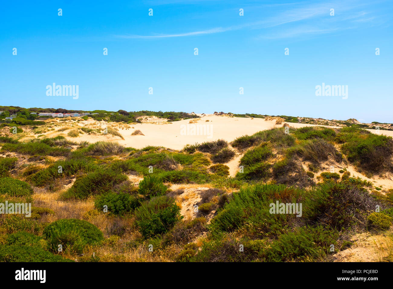 Duna Da Cresmina, dunes de sable, Cascais, Lisbonne, Portugal, une partie de l'Guincho-Cresmina système dunaire. Banque D'Images