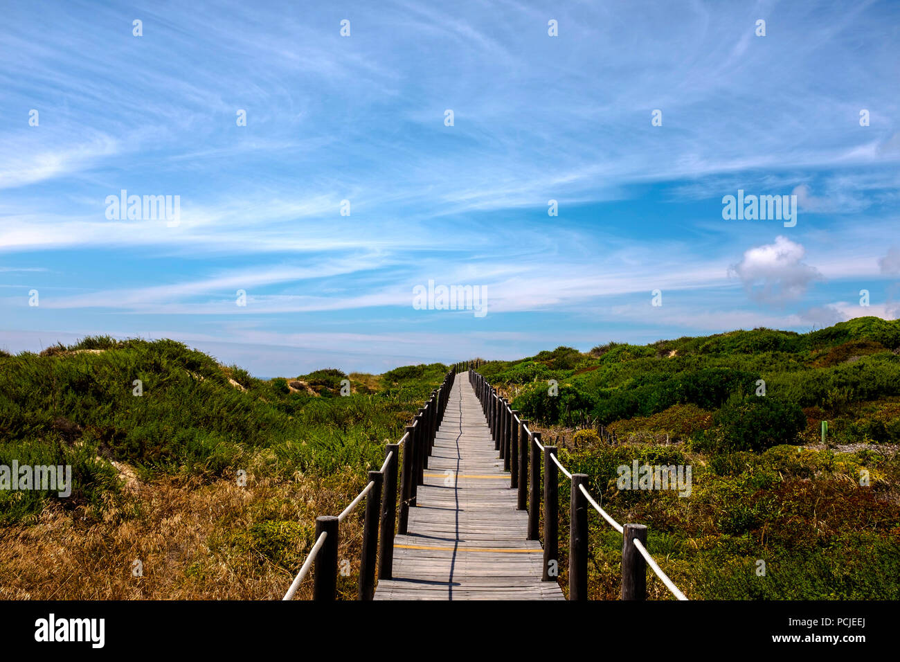 Duna Da Cresmina, dunes de sable, Cascais, Lisbonne, Portugal, une partie de l'Guincho-Cresmina système dunaire. Banque D'Images