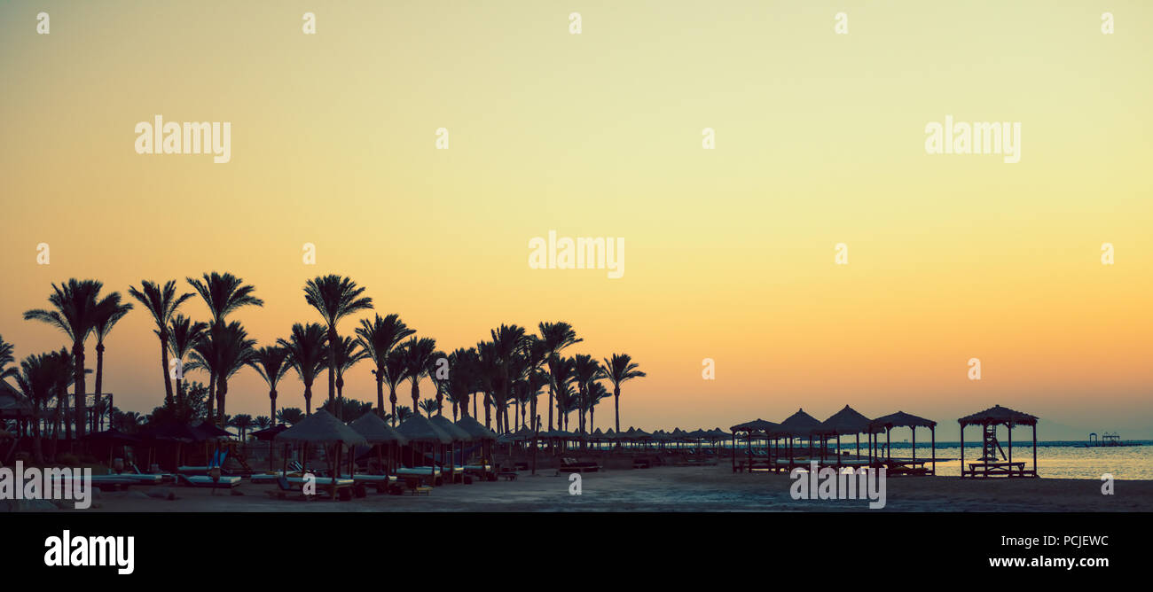 La lumière du soleil du matin le long de la mer avec des palmiers à l'horizon Banque D'Images