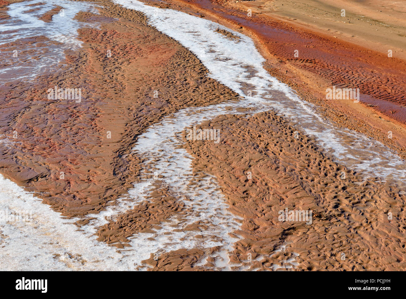 Avec de la glace de la rivière Paria, Grand Escalier Escalante National Monument, Arizona USA Banque D'Images